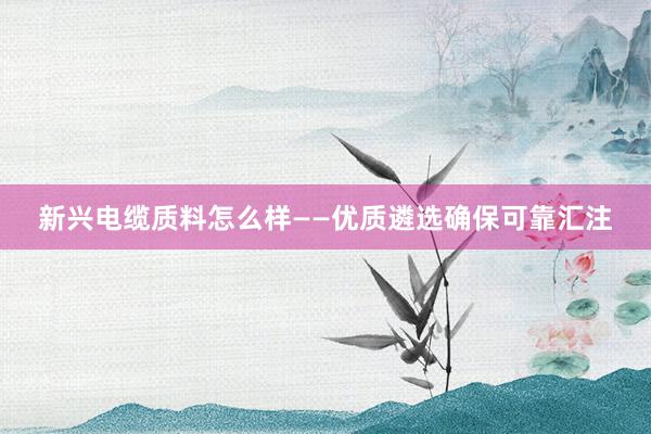 新兴电缆质料怎么样——优质遴选确保可靠汇注